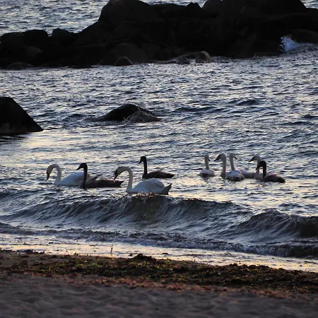 Сasa de vacaciones Le Rayon - 4 Personnes A 400 M De La *