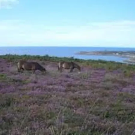 Le Rayon - 4 Personnes A 400 M De La Сasa de vacaciones Cosqueville