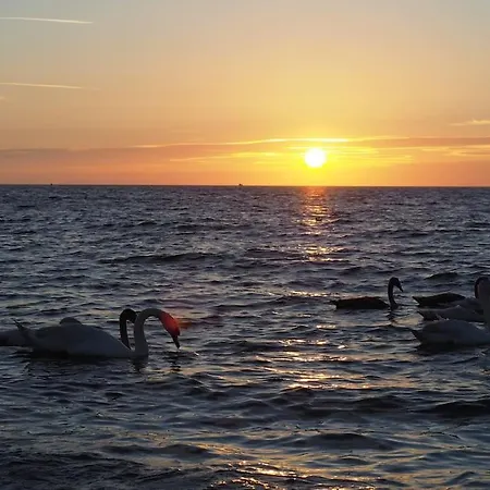 Le Rayon - 4 Personnes A 400 M De La