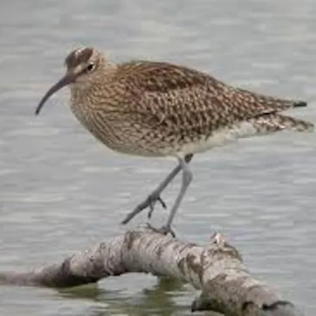 Сasa de vacaciones Le Rayon - 4 Personnes A 400 M De La Cosqueville