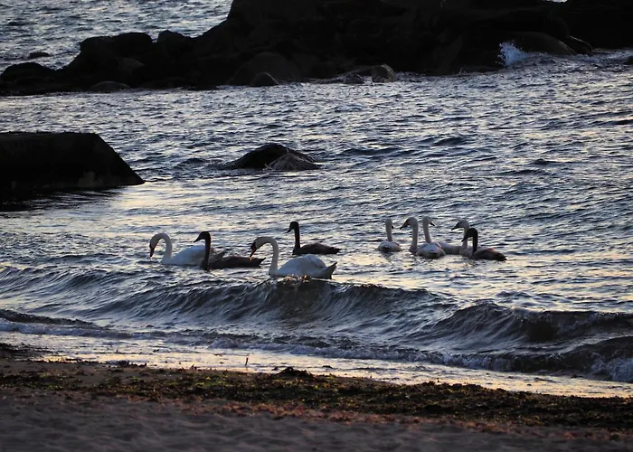 Feriehus Le Rayon - 4 Personnes A 400 M De La *