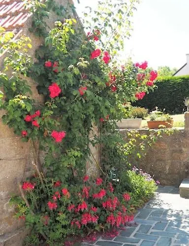 Le Rayon - 4 Personnes A 400 M De La Cosqueville