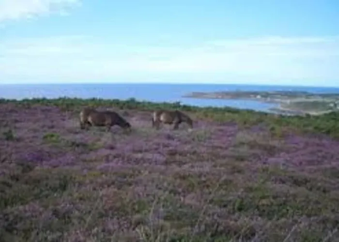 Le Rayon - 4 Personnes A 400 M De La Feriehus Cosqueville