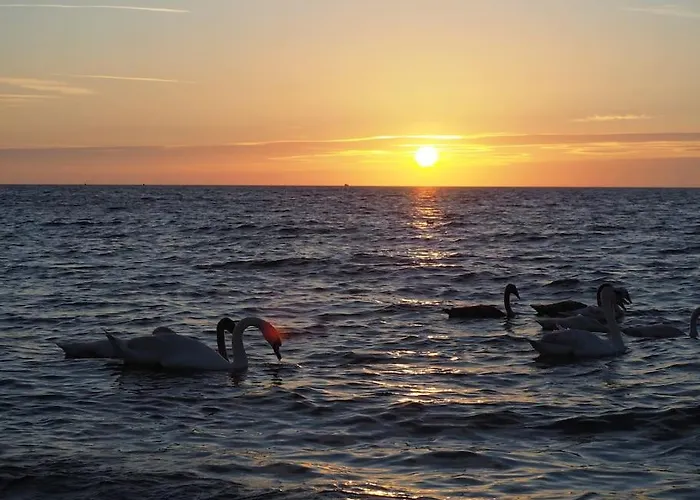 Le Rayon - 4 Personnes A 400 M De La